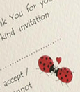Love Bug Invitations