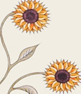Sunflower Stem Invitation